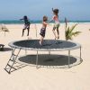 Trampoline Ladder